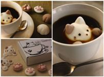 Kitten Mallows