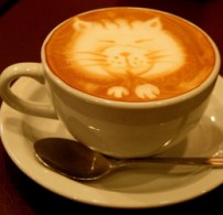 Kitty Latte